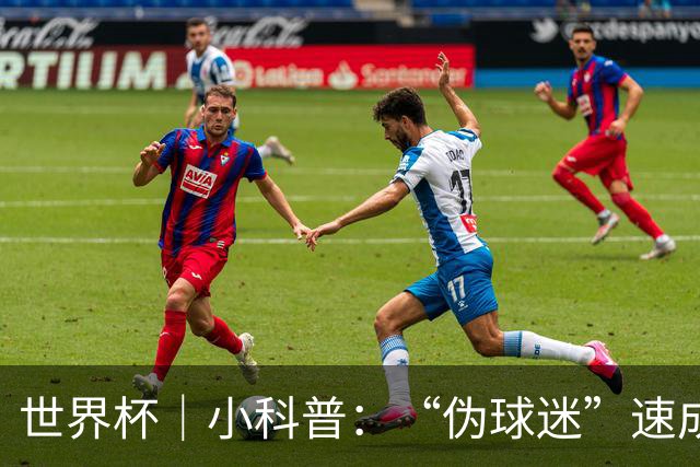 世界杯｜小科普：“伪球迷”速成手册