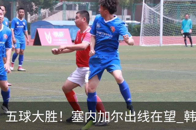 五球大胜！塞内加尔出线在望 韩国晋级仅剩理论希望